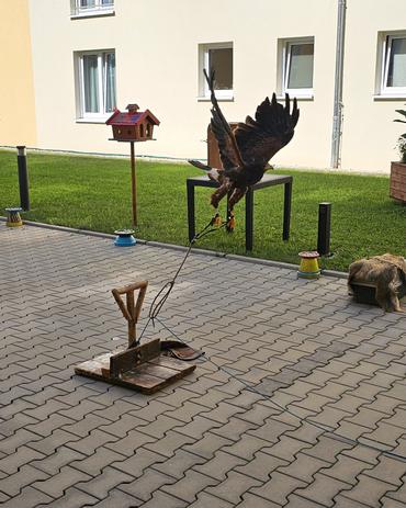 image-78666